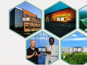 江中集团的市场现状与发展趋势