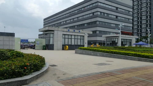 22000人的电子厂,来应聘的人排起了长队,现在工作还这么难找吗